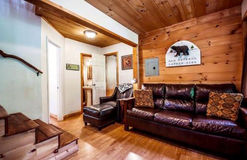 Helen Casa | Secluded Pet Friendly Wooden Cabin with Sauna, Hot-tub and Pool Table in Cleveland, Georgia
