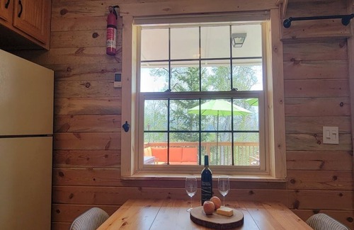 Michigan Hill Cabina | Secluded South Park Cabin - Amazing deck & views!