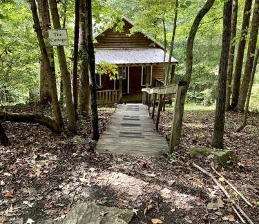 Elkin Casa | Secluded Woodland Cabin Rental with Hot Tub in Yadkin Valley Wine Region