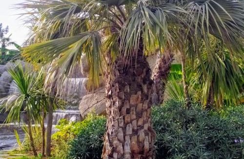 Saint-Sylvestre Apartamento | Secret garden, ideal for 2,large terrace