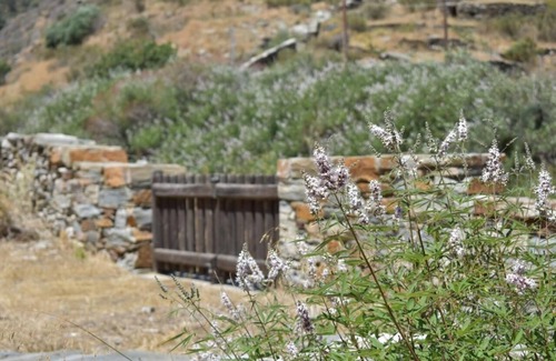 Kea Casa | Secret isolated stone house in Kea 2' away from the beach