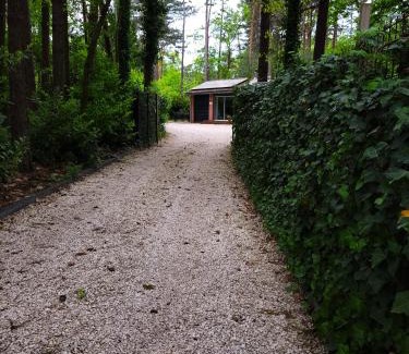 Municipality of Rijssen-Holten Casa | Secret Wellness Boszicht