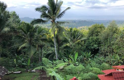 Pekutatan Casa | Sedana Yoga Resort
