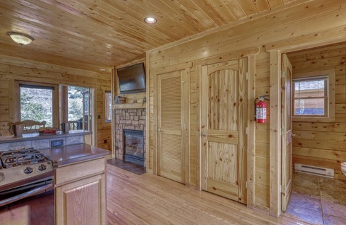 Pagosa Springs Cabina | See Fall's Changing Colors! Riverfront Cozy Cabin, Gas Fireplace, Pet-Friendly, Close to Downtown!