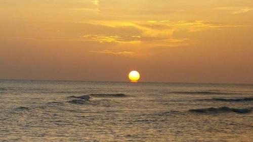 North Palmetto Point Casa | See Sea home