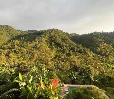 San Miguel Casa | Seiba Lodge
