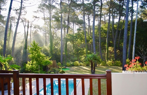 Le Penon Villa | Tranquilidad en el bosque: ¡escapa de tu loca vida y relájate!