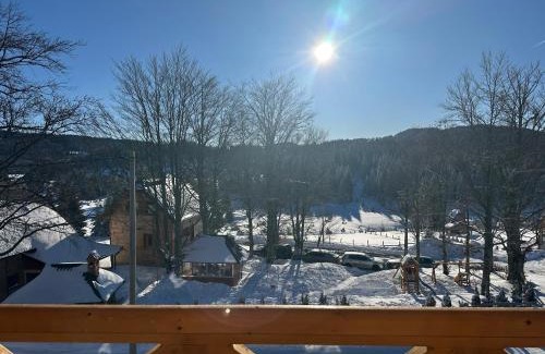 Konjska Reka Apartamento | Sekulic Apartman Tara
