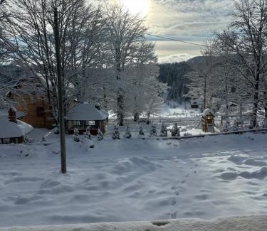 Konjska Reka Apartamento | Sekulic Apartman Tara