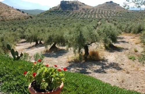Mancha Real Cabaña | Casa rural (alquiler íntegro) La Cateta para 4 personas
