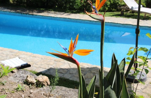 Couto de Esteves Cabaña | Casa rural (alquiler íntegro) Quinta do Gigante - Ecofarm para 5 personas