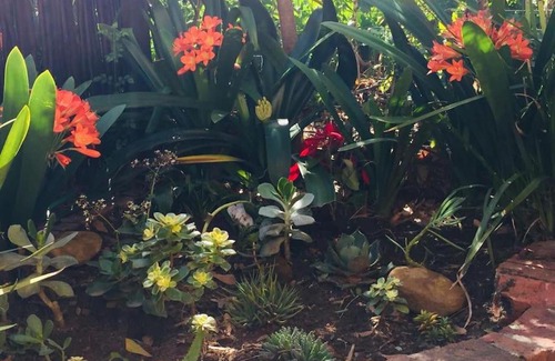 Newlands Apartamento | Self-contained, secure, well equipped, Wifi, cottage Newlands