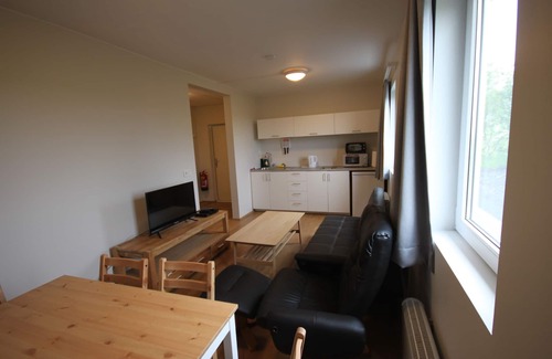 Kalfafell Apartamento | Selfell Guesthouse - Apartamento 1