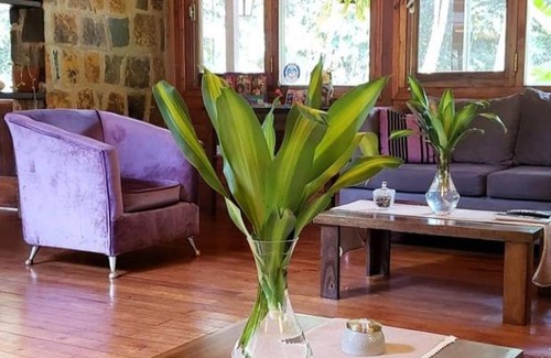 Puerto Iguazú Hotel | Selva de Laurel
