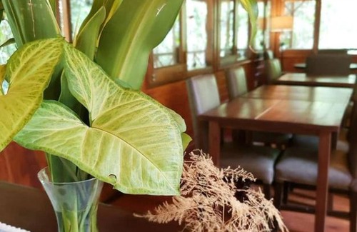 Puerto Iguazú Hotel | Selva de Laurel