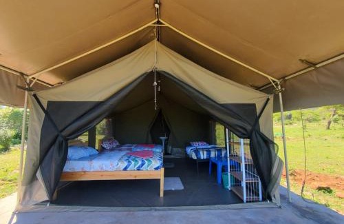 Maasai Mara Cama Y Desayuno | Semadep bush camp