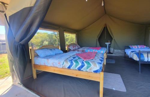Maasai Mara Cama Y Desayuno | Semadep bush camp
