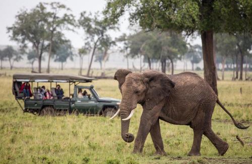 Maasai Mara Otro | Sentinel Mara Camp