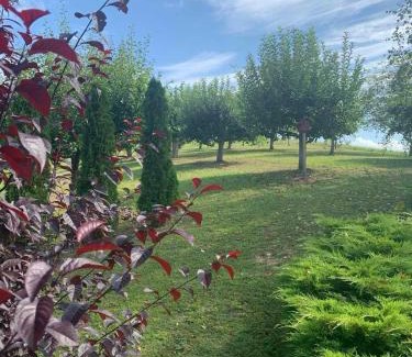 Guca Casa | Seosko turističko domaćinstvo Jolović GUČA Veles