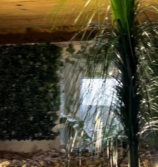Sfantu Gheorghe Apartamento | Sepsi Corner