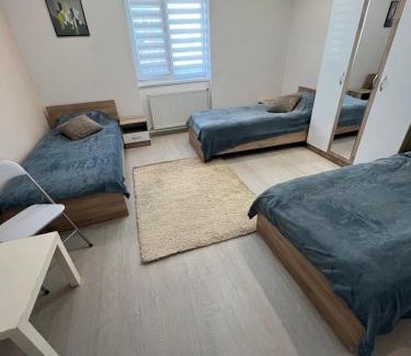 Sfantu Gheorghe Apartamento | Sepsi Corner