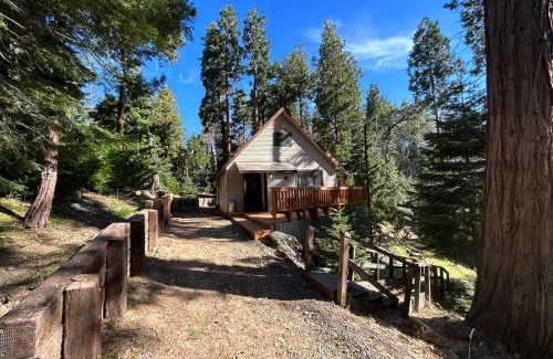 Posey Casa | Sequoia National Forest Cabin-ATV Ride