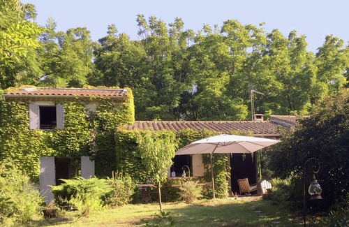 Avignon Casa | Serendip