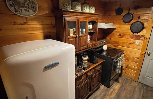 Shinglehouse Cabina | Serene Cabin Retreat on 82 private acres. Pet friendly