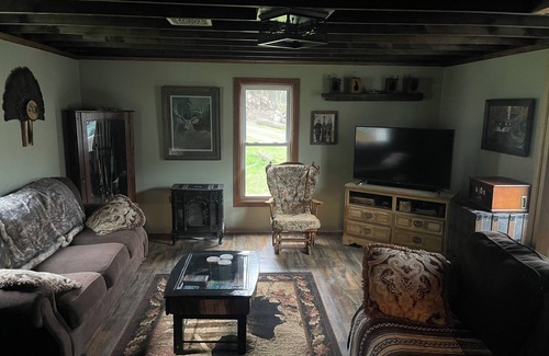 Shinglehouse Cabina | Serene Cabin Retreat on 82 private acres. Pet friendly