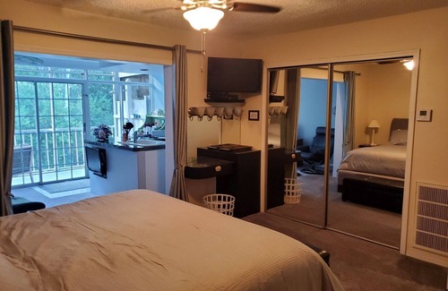 Lutz Apartamento | Serene Sensuality #307S