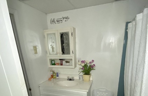 Stockade Historic District Apartamento | Serene Space Near Ellis Hospital, Rivers Casino & Downtown