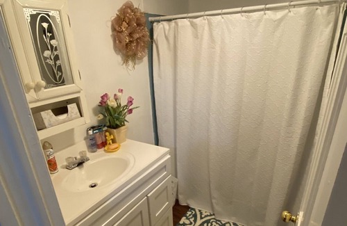 Stockade Historic District Apartamento | Serene Space Near Ellis Hospital, Rivers Casino & Downtown