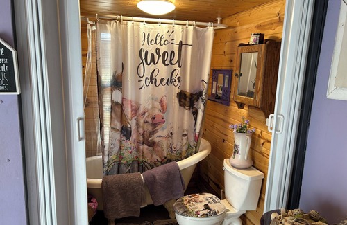 Sanger Otro | Serene Tiny Home Retreat