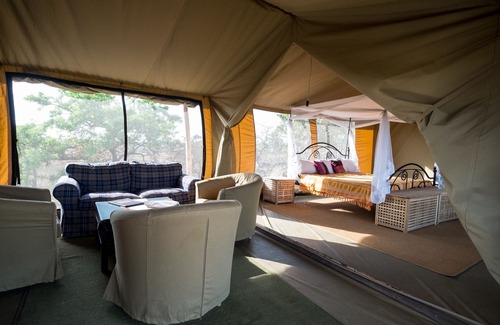 Serengeti National Park Otro | Serengeti Ikoma Wild Camp