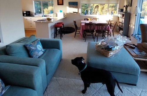 Mahau Sound Casa | Serenity, Comfort and Peace in the gorgeous Marlborough Sounds