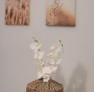 Lygia Apartamento | SERENITY LIGIA LEFKAS a