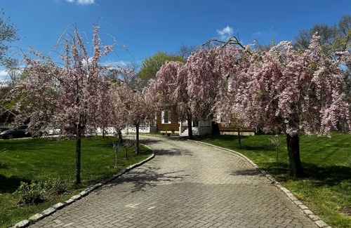 Muttontown Cabaña | Serenity Retreat- spacious 1 bedroom with access to private pool and Jacuzzi