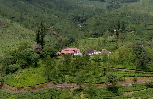 Valparai Hotel | Sereniva Orange Grove Bungalow