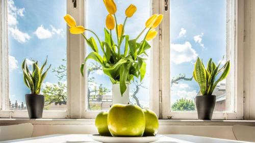 Kleparz Apartamento | Sereno Apartments