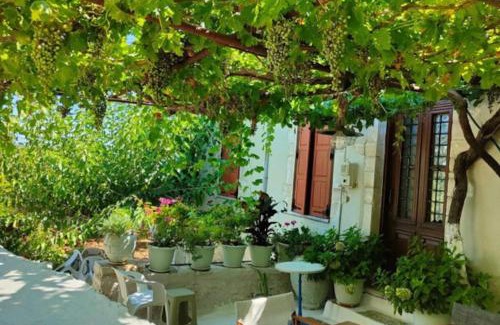 Apokoronas Casa | Sergios Village House