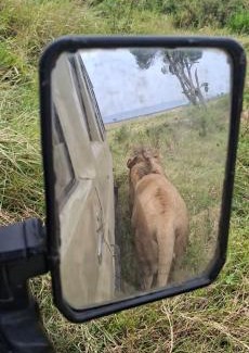 Maasai Mara Apartamento | Serian safaris and travel tours