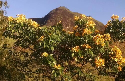Sao Fidelis Casa | Serra do Itacolomy, Casa de campo