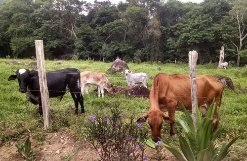 Sao Fidelis Casa | Serra do Itacolomy, Casa de campo