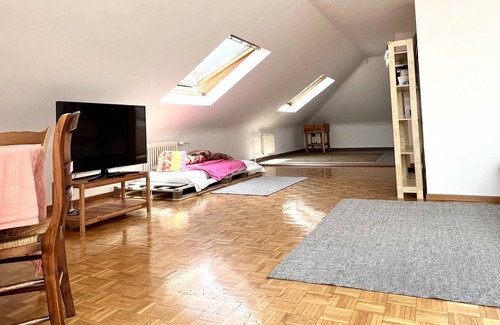 Jargonnant Apartamento | Service Loft in Central Geneva