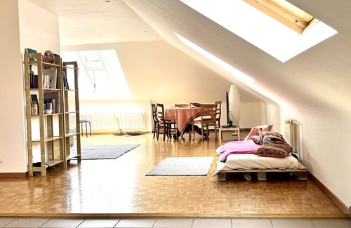 Jargonnant Apartamento | Service Loft in Central Geneva