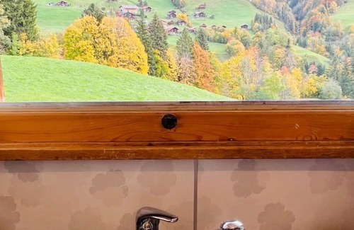 Ruedisbach Apartamento | Serviced Apartment Chalet Bärgblüml i Ha by Interhome
