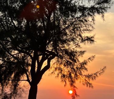 Kampung Ayer Meleleh Casa | Sevenseas Seaview Homestay