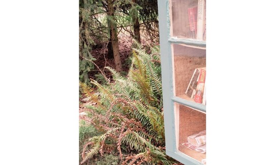 Seattle Metro Area Cabaña | Seward Park Wisteria Cottage