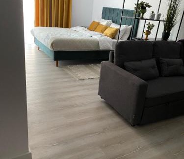 Baia Mare Apartamento | Sfara Residence Apartament 3