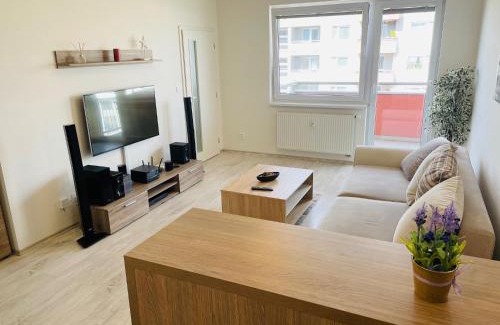 Trencin Apartamento | SGL apartment Liptovska with free parking